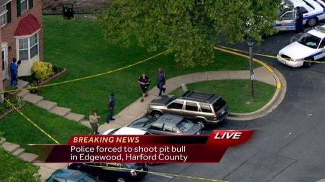 Officials said a Harford County Sheriff's deputy was forced to fatally shoot a pit bull in Edgewood.