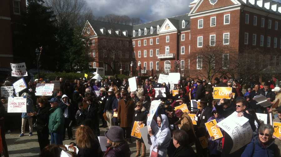 Protesters at the gun control rally at Lawyer's Mall in Annapolis on Friday.
