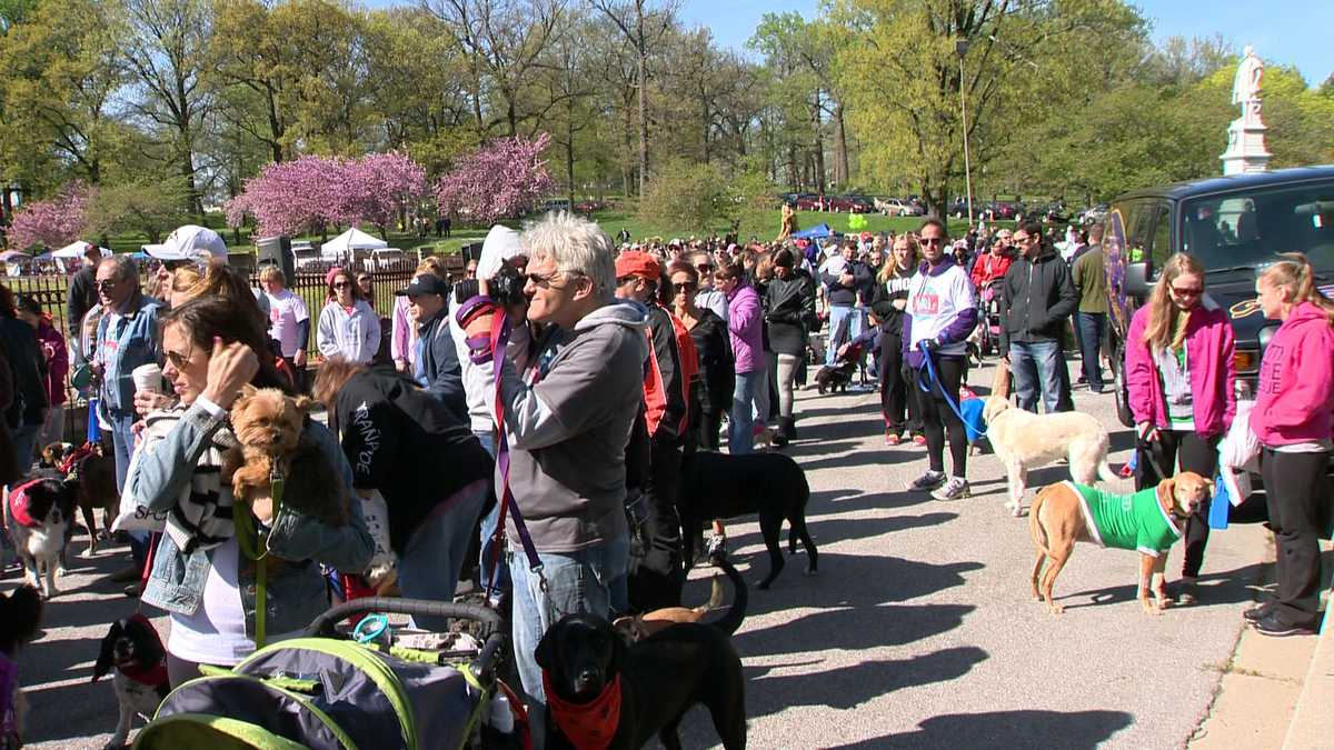 Marchforanimals In Photos: Pet fans raise funds at March for the Animals