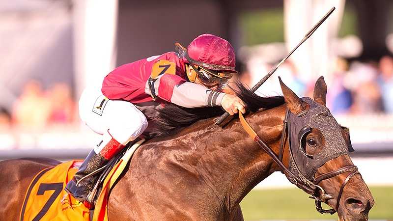 John D. Gunther's Last Gunfighter captured his sixth consecutive victory with a commanding 4 1/4-length triumph in Friday's $300,000 Pimlico Special (G3), the co-feature on the Black-Eyed Susan Day program at historic Pimlico Race Course.
