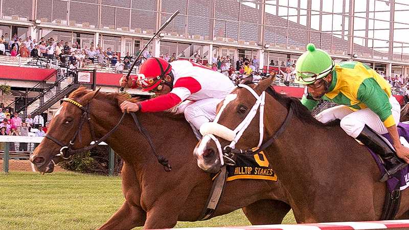 Kenneth L. and Sarah Ramsey's Emotional Kitten arrived late on the scene, reaching the front in the last two jumps to win the $100,000 Hilltop Stakes for 3-year-old fillies, the finale on the 13-race Black-Eyed Susan Day card at Pimlico.