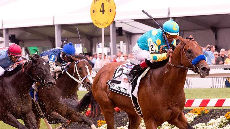 Zee Bros wins Chick Lang Stakes