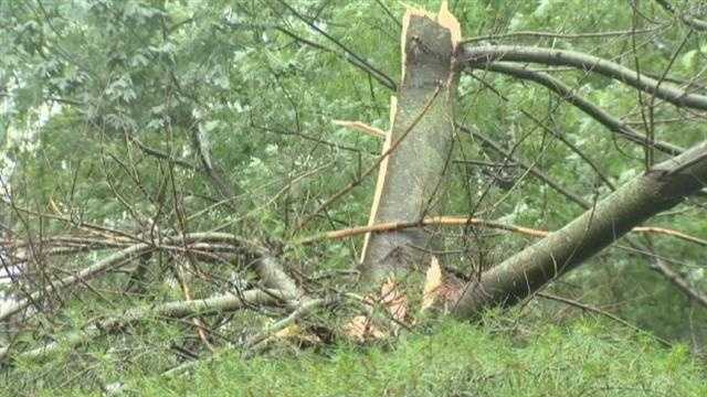 Images: Storms destroy buildings, uproot trees, flood streets