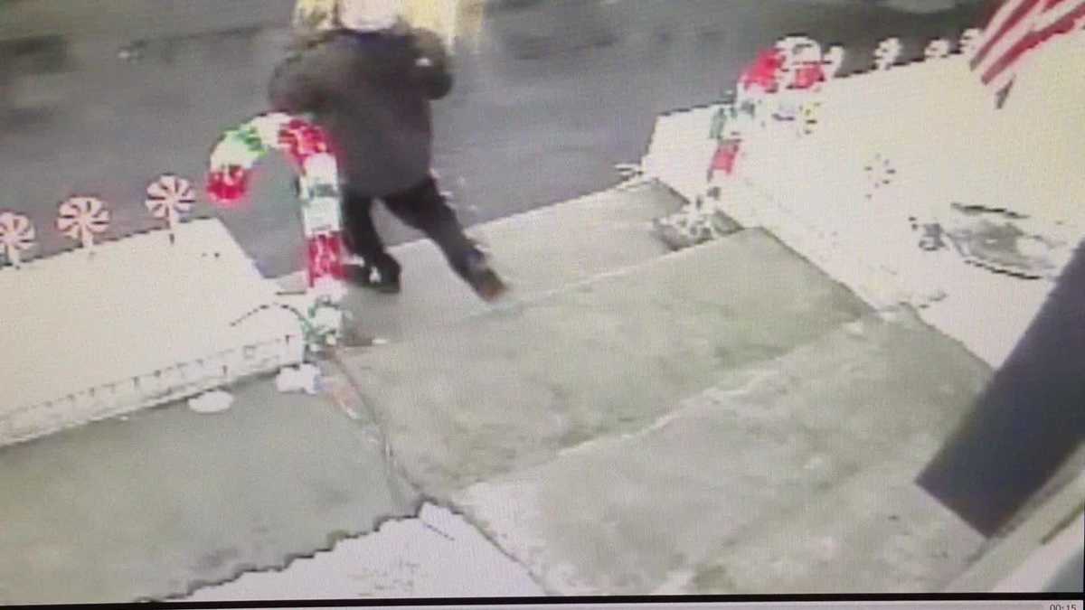 Man caught on camera stealing holiday packages