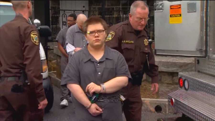 The Howard County State's Attorney's Office said Jason Bulmer, 20, on Friday pleaded guilty to one count of first-degree murder in the fatal stabbing of 58-year-old Dennis Lane.