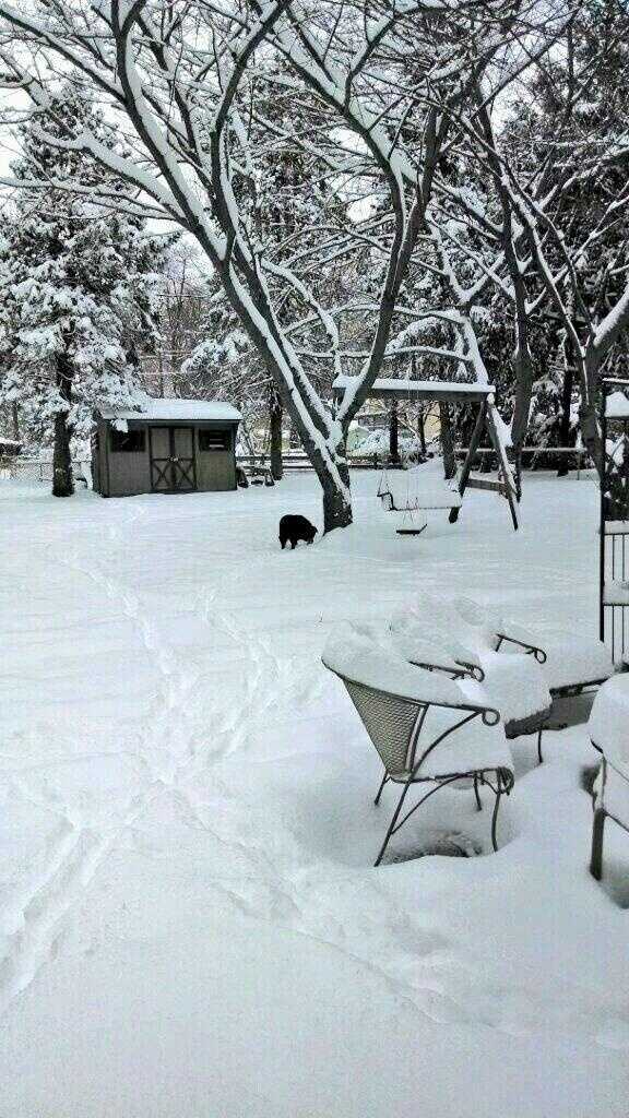 snow on st patricks day