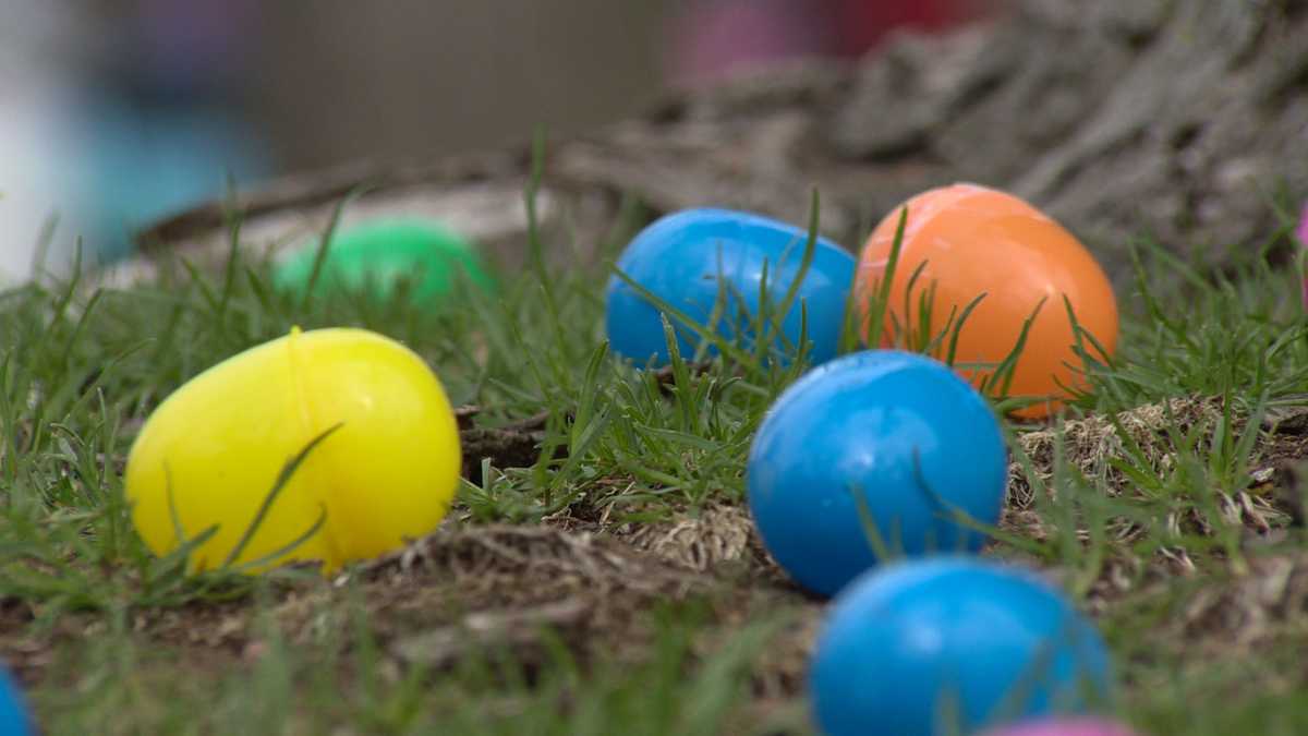 Photos Zoo kicks off Easter with Bunny BonanZoo