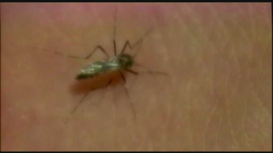 A person infected with the West Nile virus has died, Baltimore County health officials announced Wednesday. Health officials said the person died Monday from causes not related to the virus. No further information was immediately released about the person. Last week, state officials had announced that a person in the Baltimore-area was infected with the West Nile virus. It was unclear as to whether this is the same person who died.