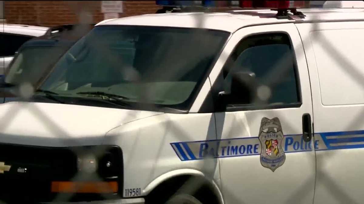 Documents detail BPD's seat belt policy