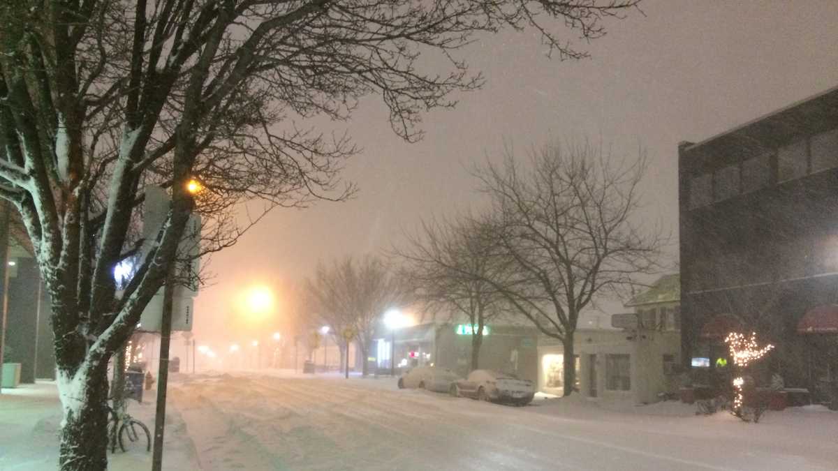 Photos January 2016 snow in Baltimore, Maryland