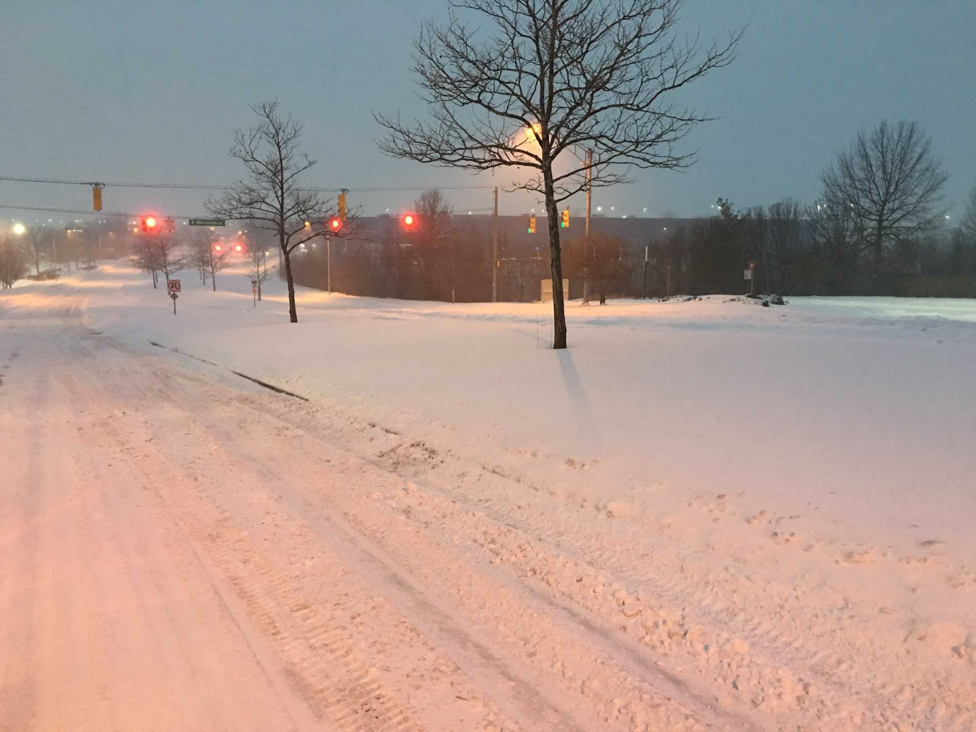 Photos: January 2016 Snow In Baltimore, Maryland