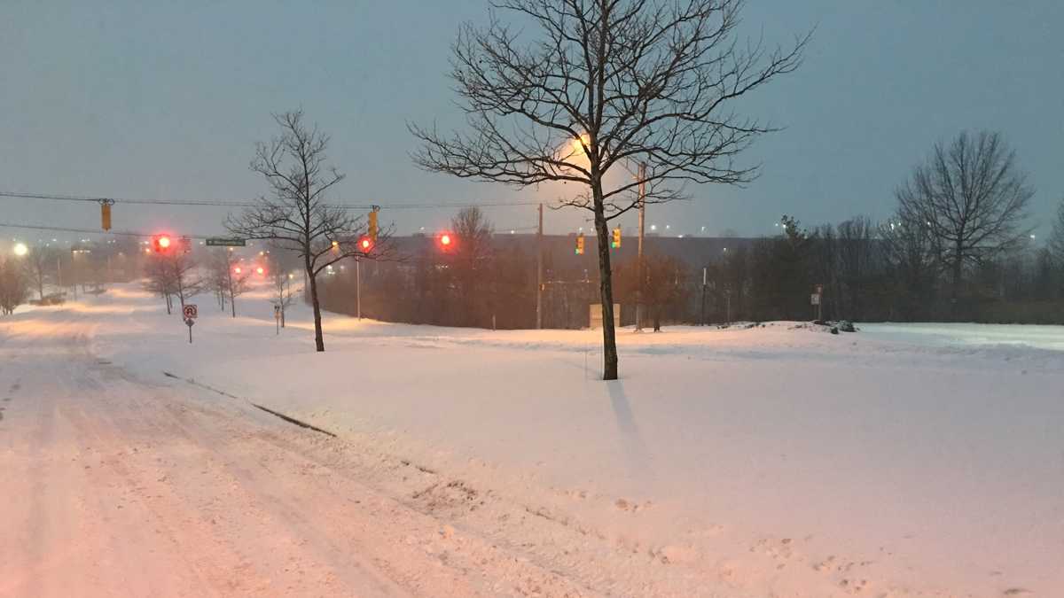 Photos January 2016 snow in Baltimore, Maryland