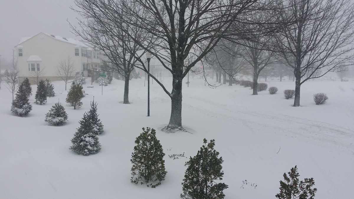 Photos January 2016 snow in Baltimore, Maryland