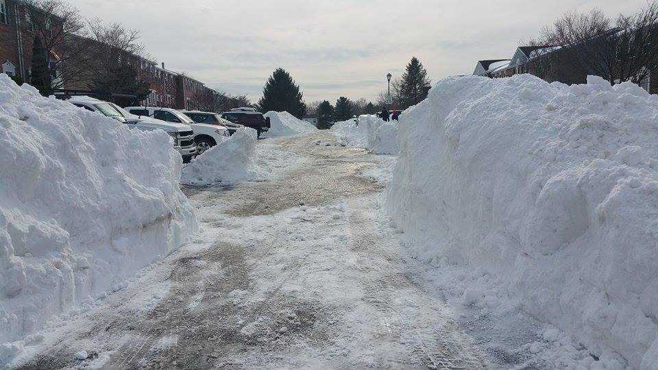 Photos: Massive snow wall blocks neighborhood