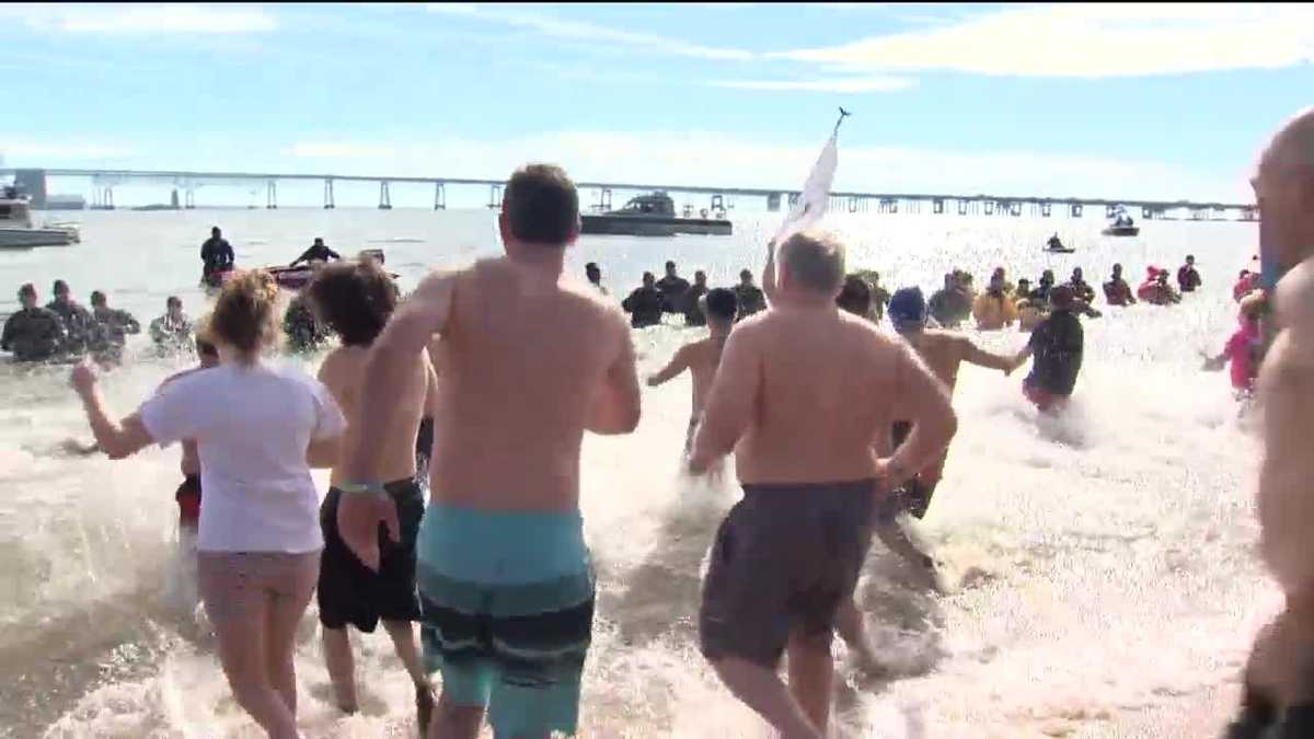 Polar Bear Plunge 2016 In Photos