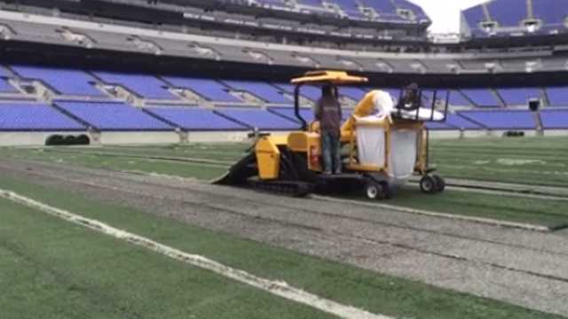 Baltimore Ravens' New Grass Field Demands the Best - Toro