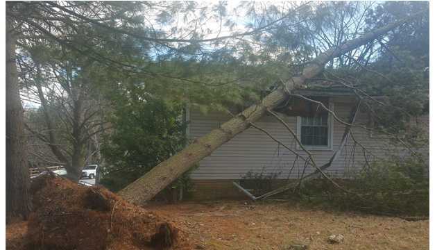 No one was injured after a tree fell on top of a home Wednesday in the 10000 block of Spotted Horse Lane in Columbia, according to the Howard County Fire Department.