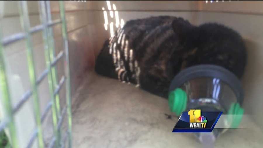 fire company receives oxygen