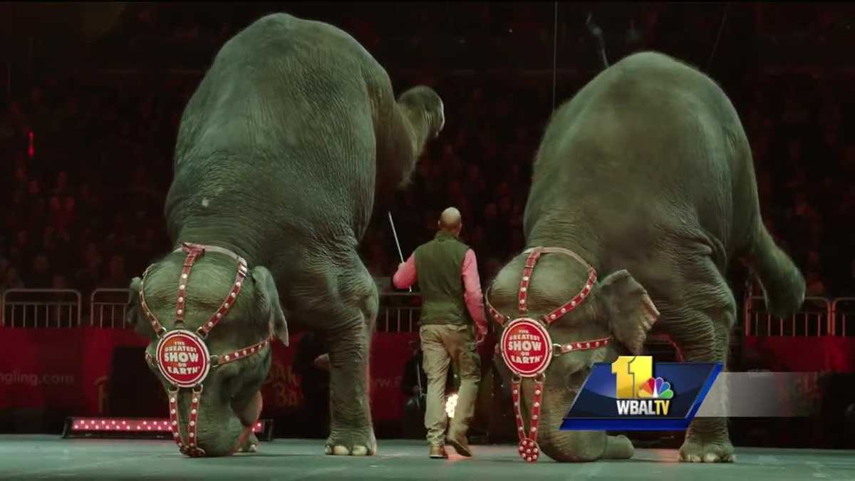 Circus brings elephants to Baltimore one last time