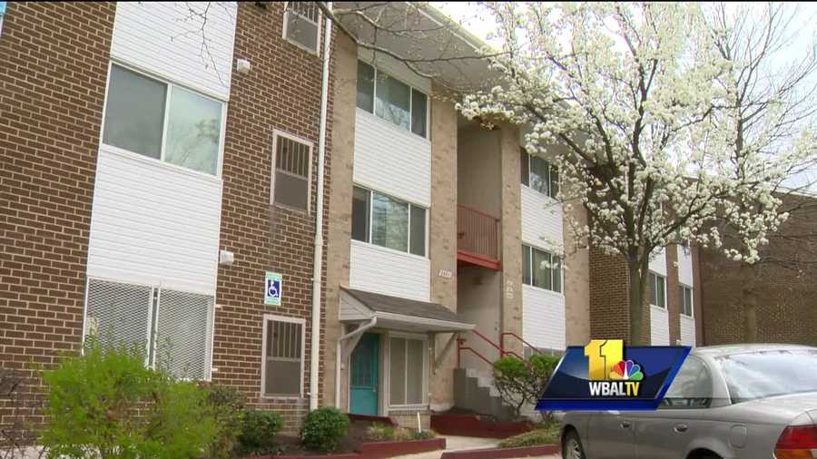 Residents of an apartment complex in Baltimore County said they are afraid for their children and their health after they found a rabid bat. A family living at the Circle Terrace Apartments in Lansdowne said their 4-year-old daughter found the bat in her room after the family cat killed it. From cracks in the kitchen walls to mold to cardboard covering holes, Erica Gordon and Naeem Harrison said problems are mounting. They have lived at the complex here for seven years with their four children.