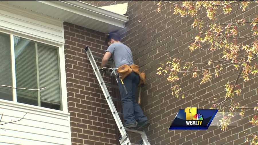 Crews are treating a Baltimore County apartment complex after a rabid bat was found in one unit. Pest control crews were working Friday in front of the Circle Terrace Apartment Complex building where a rabid bat was found. The tenant told 11 News she's glad they're there, but she hopes it's enough.
