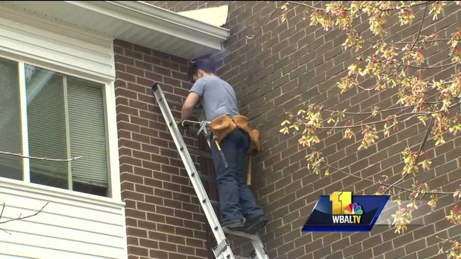 Crews Address Bat Problem At Lansdowne Apartments Crews Are Treating A Baltimore County Apartment Complex After Rabid Bat Was Found In One