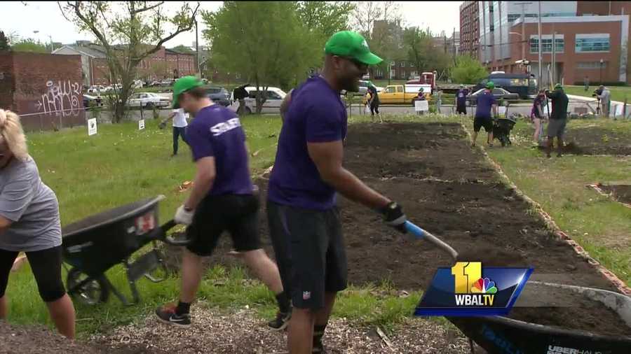 Wearing cowboy boots, Texas native Crockett Gilmore looked right at home in the dirt. The Ravens tight end spent Earth Day making flower beds in west Baltimore.