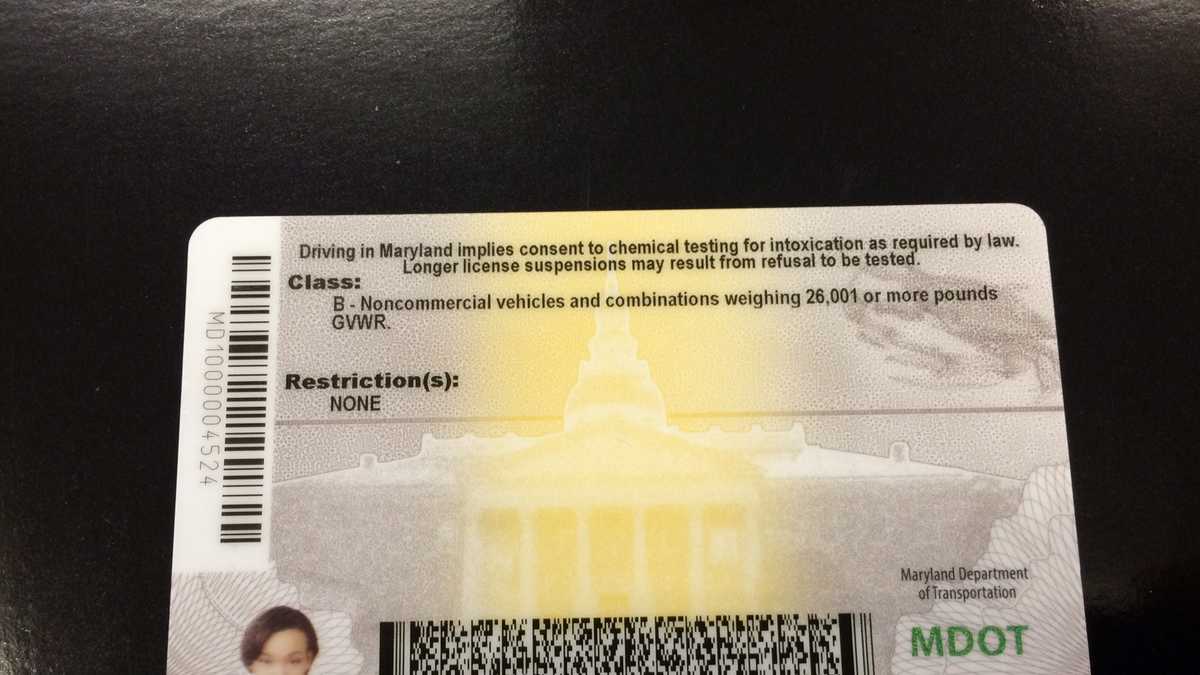 Images: What do the new Maryland driver's licenses look like?