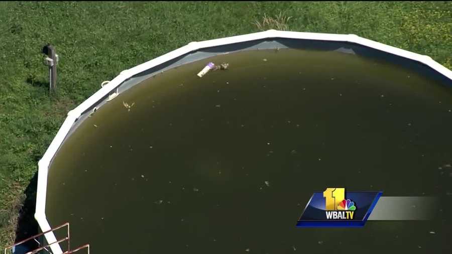 With ongoing concerns over the Zika virus, getting rid of standing water is key to preventing mosquitoes from laying eggs. The problem has some Baltimore County residents calling out their neighbors. The Baltimore County Health Department said there have been 104 mosquito-related calls since March, which is an increase from this time last year.