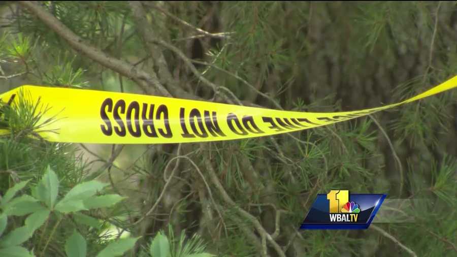 Two suspects have been killed in a case that spanned two days and two houses. Though it's early in the investigation, Anne Arundel County police said they believe that the two men were shot and killed late Saturday night while trying to break into a house. There was still a bullet hole in the front door of the house Monday, and police tape was up around the property. Investigators said they believe that the two men were trying to break into a house on Sandy Farm Road when they were confronted by a resident and both men were shot.