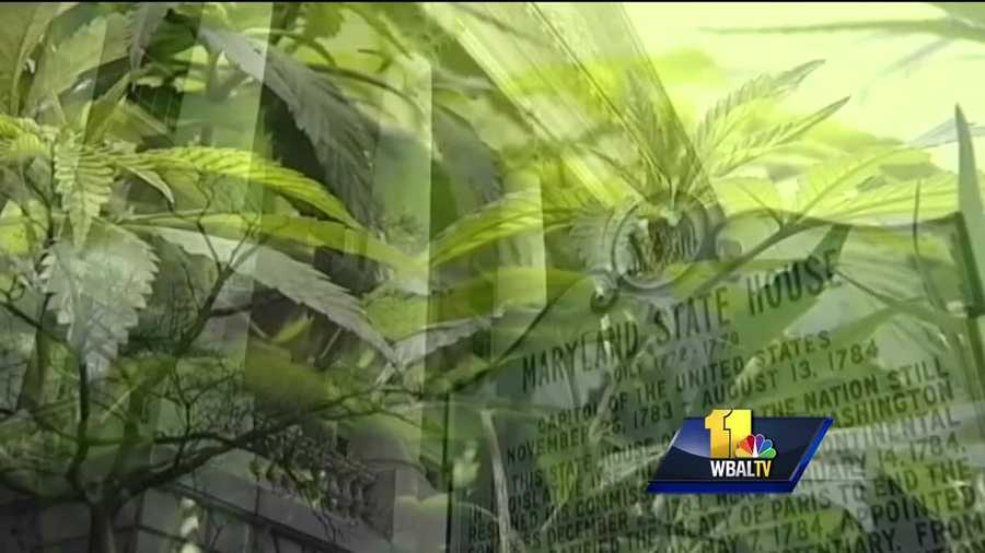 Members of the Maryland Legislative Black Caucus met with Gov. Larry Hogan Thursday to discuss the lack of diversity in recently and preliminarily awarded medical marijuana licenses.