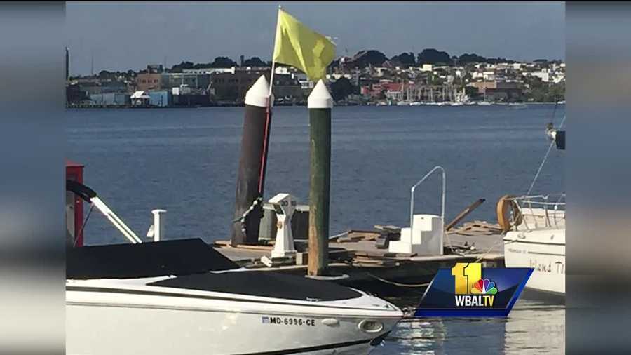 A Baltimore harbor pier sustained damage after a passenger vessel collided with the pier Sunday morning.