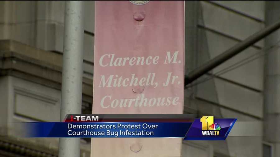 There is an ongoing controversy brewing at Baltimore's downtown courthouses involving bugs. Several people have reported being bitten by insects infesting the buildings. It drew protesters Friday.
