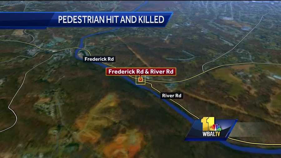 A Pasadena man died Monday after he was struck by a car while chasing after his dog in the Catonsville area.