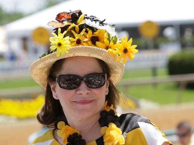 preakness hats