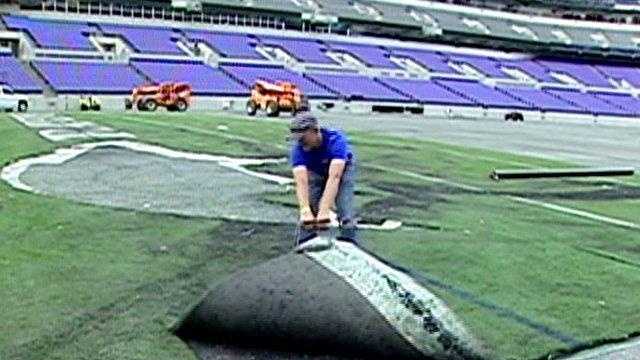 Baltimore Ravens' New Grass Field Demands the Best - Toro