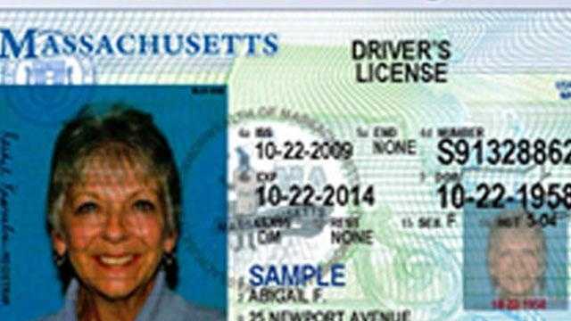 Senate OKs amendment making changes to driver's licenses