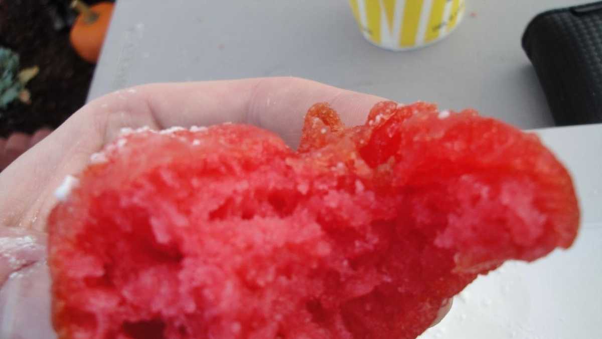 Photos Fried KoolAid, Other Curious Foods At Big E