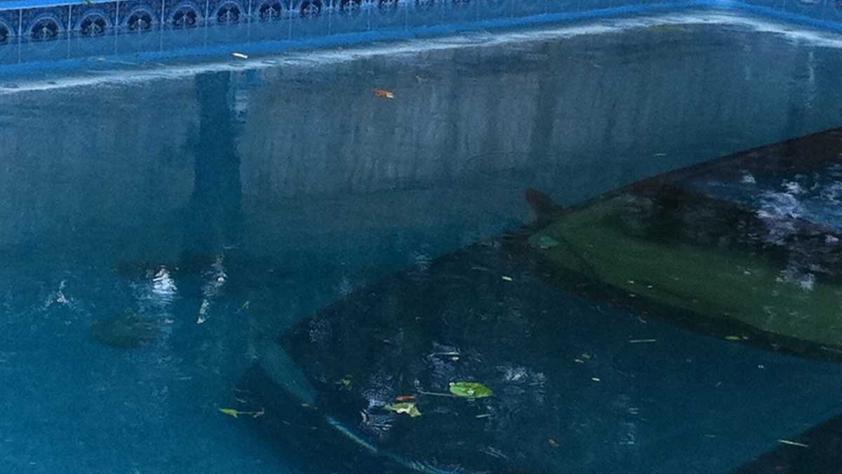 Photos: Vehicle crashes into backyard swimming pool