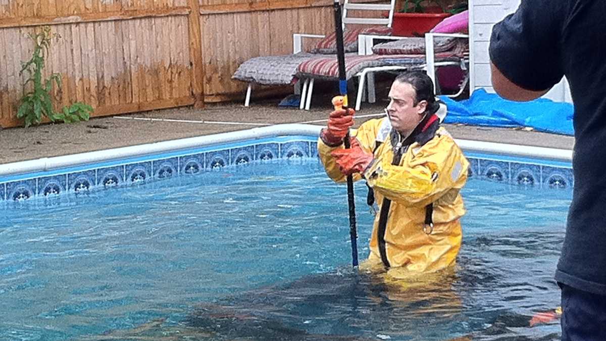 Photos: Vehicle crashes into backyard swimming pool