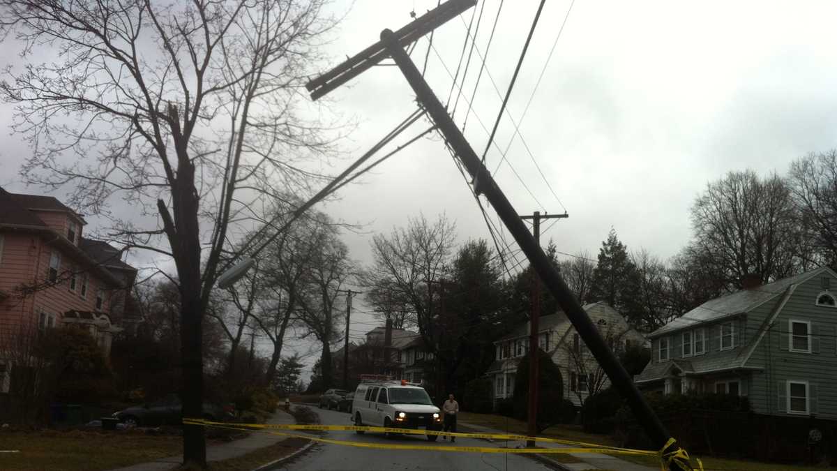 Images: Fierce winds bring down trees, power lines