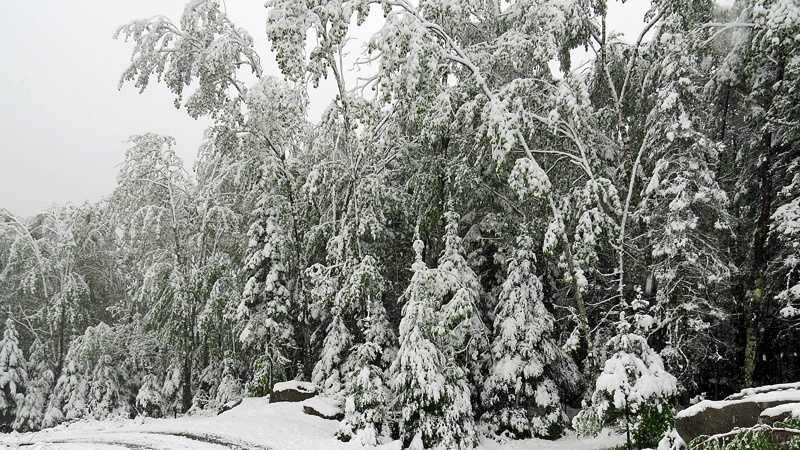 Photos Memorial Day Snow