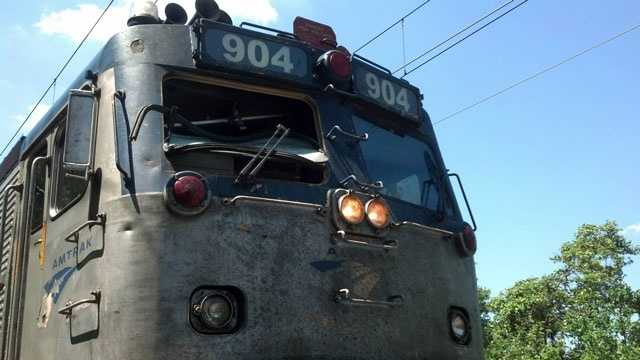 A wild turkey was killed Saturday, June 1, 2013, after crashing through the windshield of an Amtrak train in Mansfield.