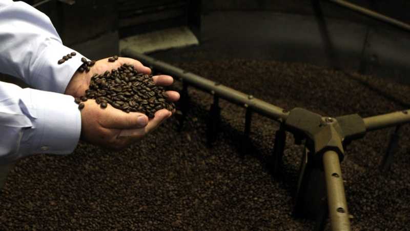 Stephen Beattie, Chief Executive Officer of Comfort Foods, Inc. looks through some freshly roasted beans. The business is located on Commerce Way in North Andover.