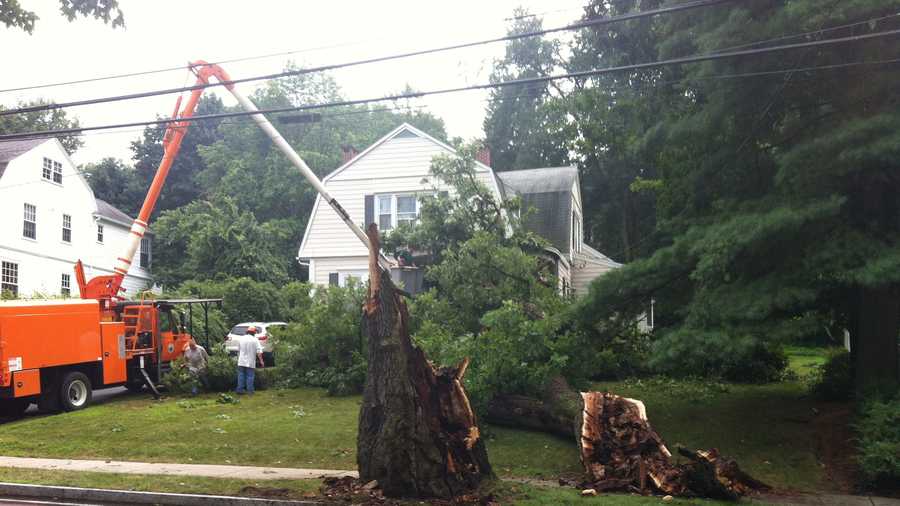 A severe thunderstorm brings down a tree in Reading. 