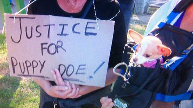 Animal activists brought their own dogs to the vigil and rally for Puppy Doe.