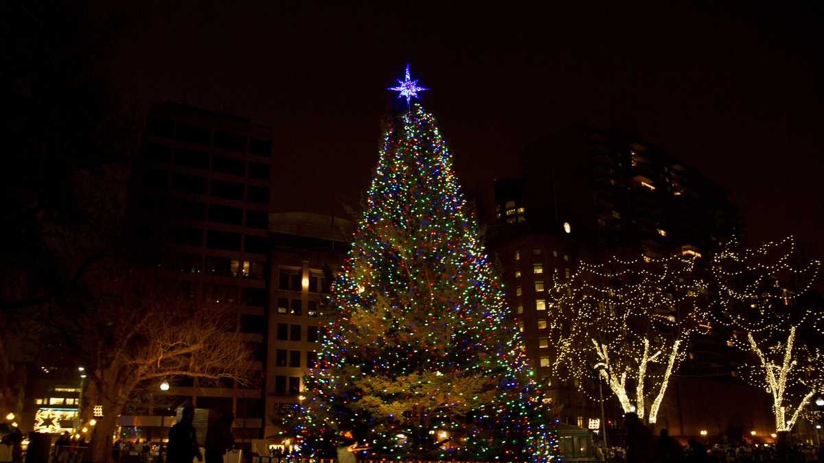 Boston Common Christmas tree lighting celebration