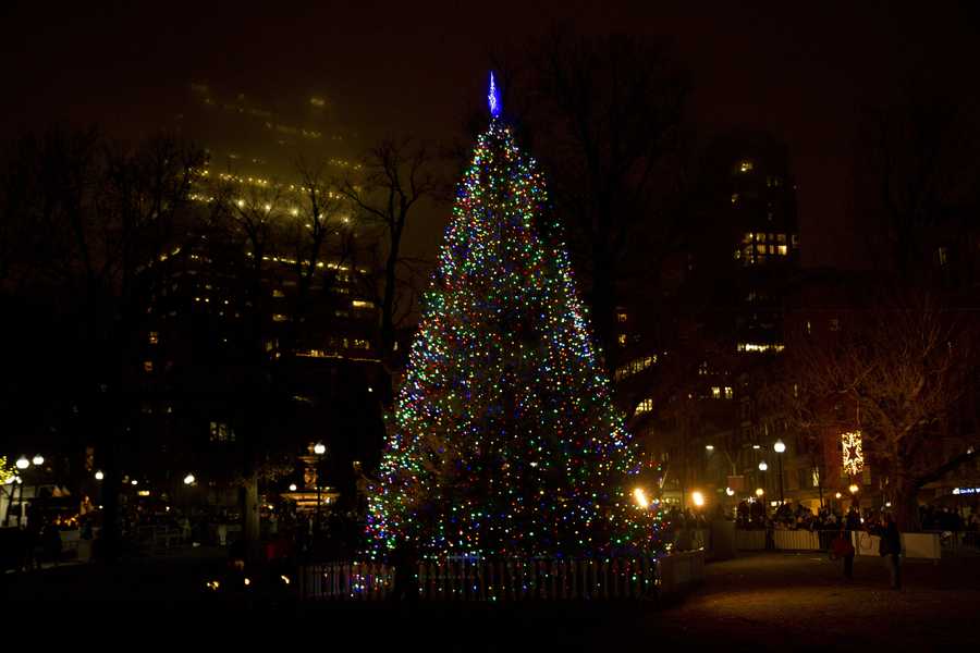Boston Common Christmas tree lighting celebration
