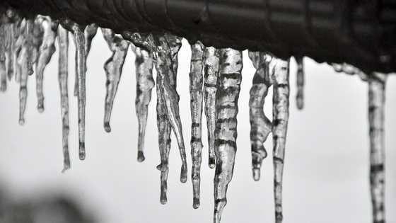 icicles 