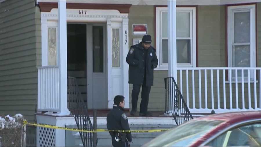 A 14-year-old Boston boy is facing juvenile charges in the accidental shooting death of his 9-year-old brother.